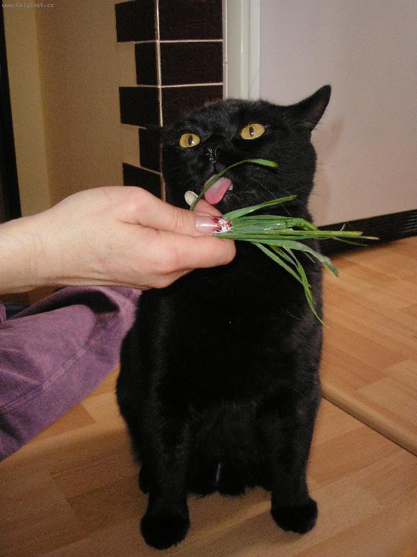 Foto: Dante-Z�visl��ek