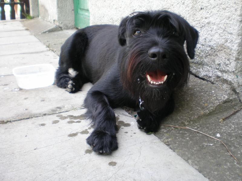 Foto: Ryx�k-Odpo��v�m po ob�dku...