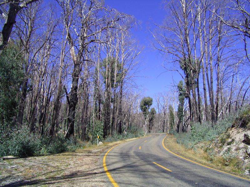 Foto: po pozaru-victoria