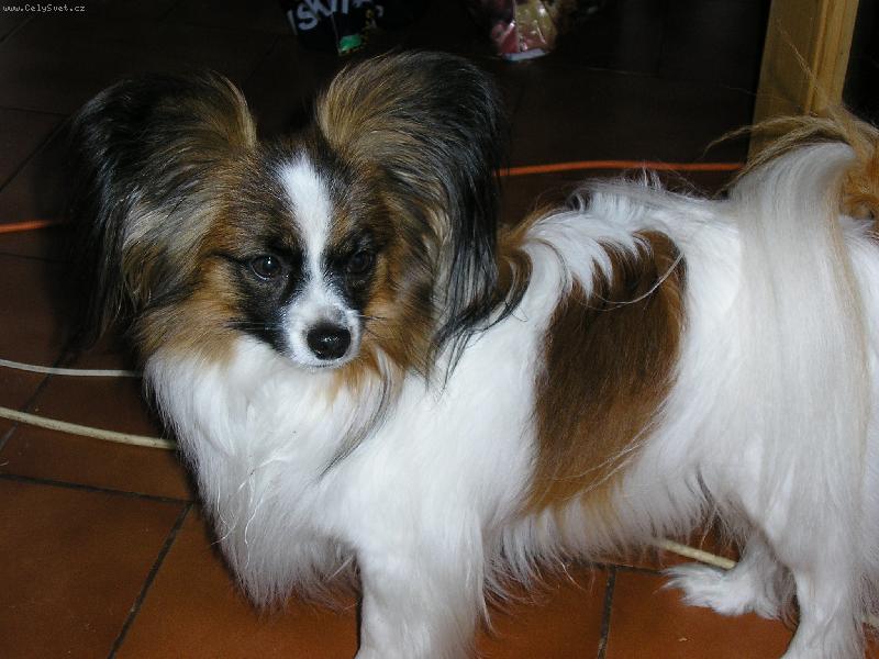 Foto: Majk-to jsrm j��