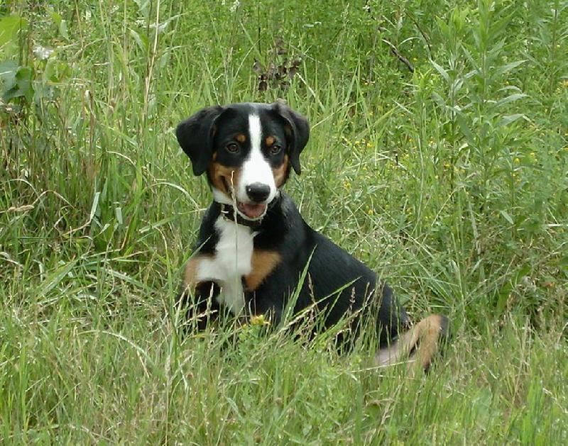 Foto: Abora z Velk�ho �jezda-3 m�s�ce