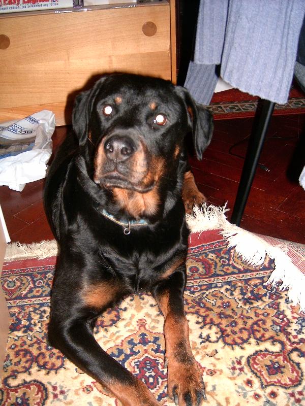 Foto: Syndy-to je na�e Syndy