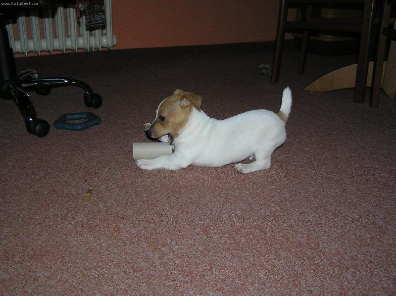 Foto: Kry�tof-nov� �len sme�ky