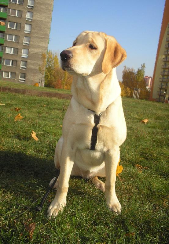 Foto: Vyhl��...-:)