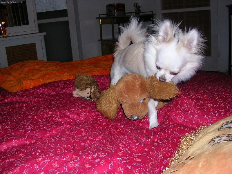 Foto: v�t�zstv�