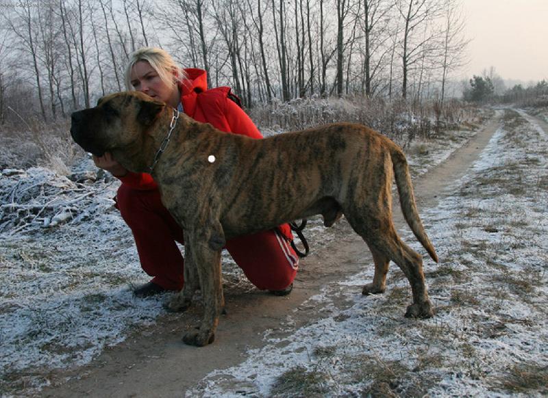 Foto: JUMBO de Casa del Presa-JUMBO