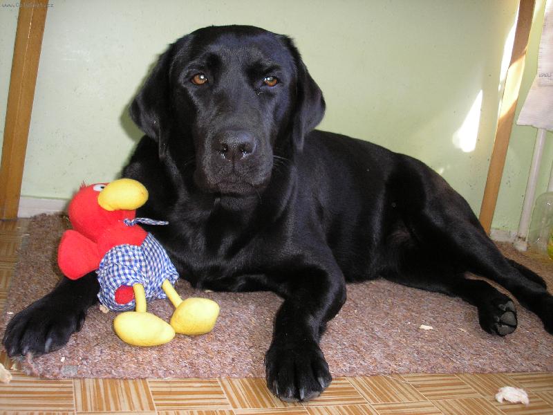 Foto: Barunka-Tak tohle jsem dnes ulovila na rybn�ku.