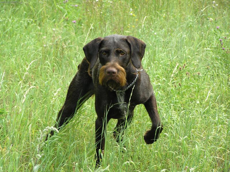 Foto: Orina z Kyjovic