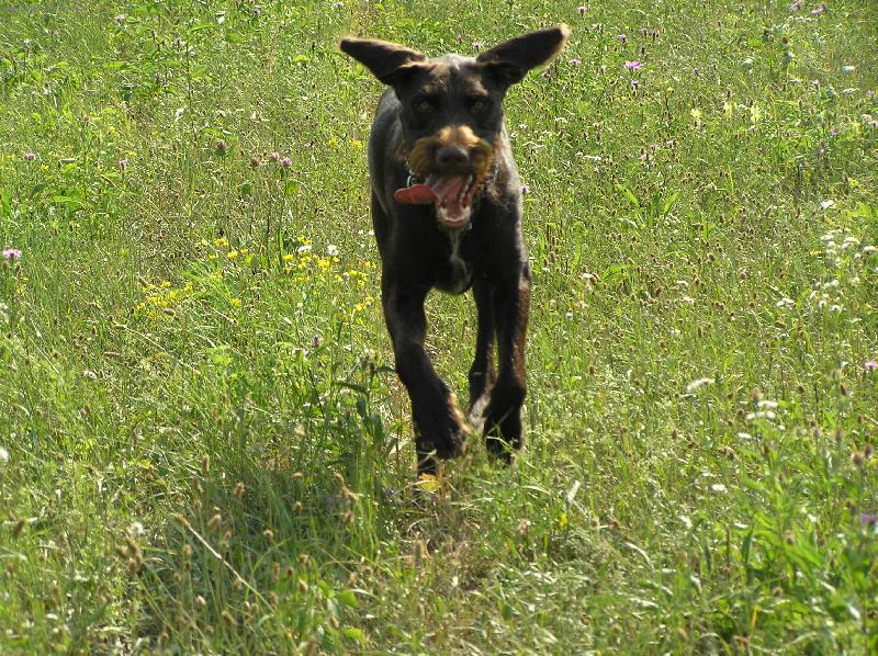 Foto: Orina z Kyjovic