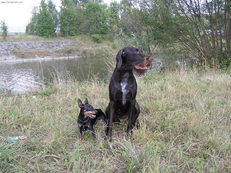 Foto: Orina z Kyjovic-S kamar�dem