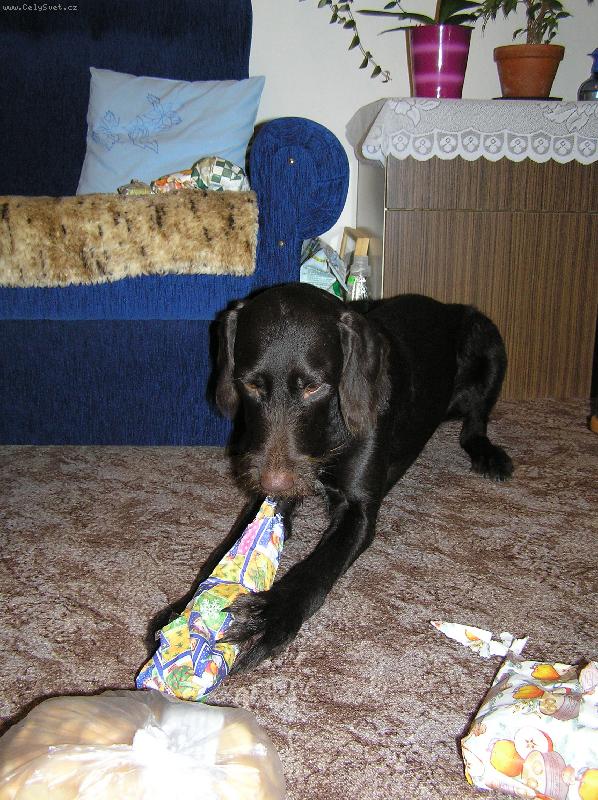 Foto: Orina z Kyjovic-V�noce 2007- rozbalov�n� d�rk�