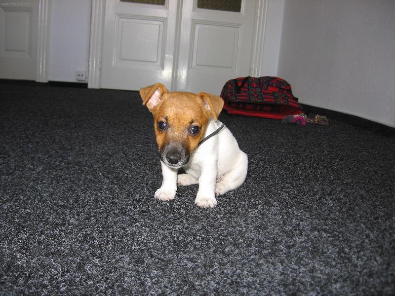 Foto: Nelly jako mim�o