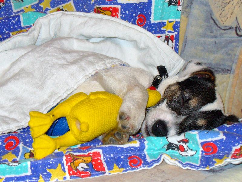 Foto: D�re�ek Jack