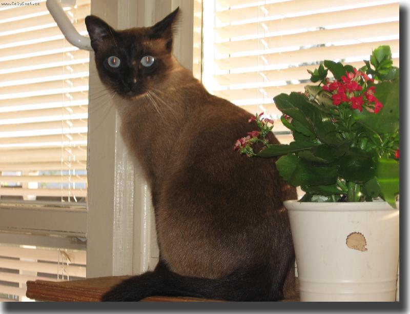 Foto: N� Osk�rek..-N� Osk�rek...