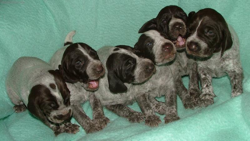 Foto: �t�n� NKO-vrh F - ze �t�pek