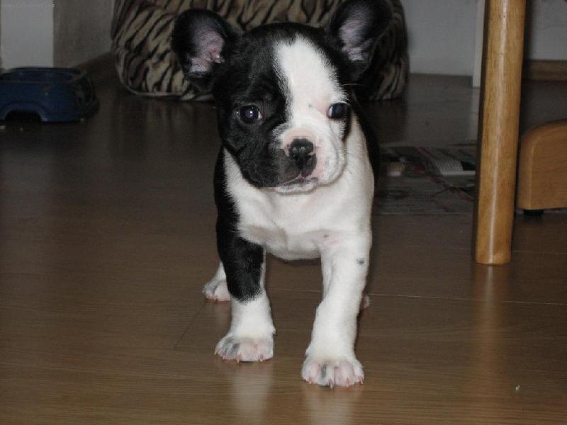 Foto: tady jsem u nov�ho p�n��ka-tady jsem u nov�ho p�n��ka