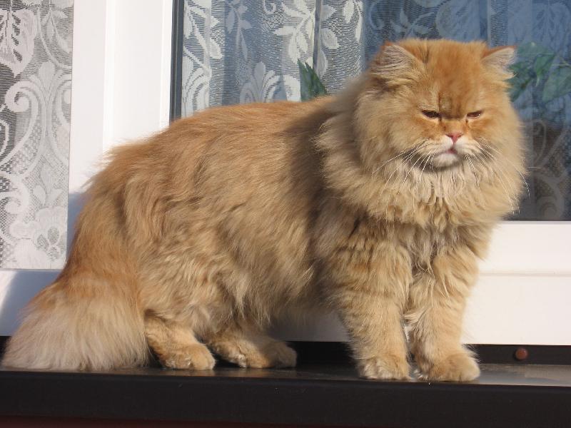 Foto: MAT�SEK-JAK SE KOUK� NA SV�T