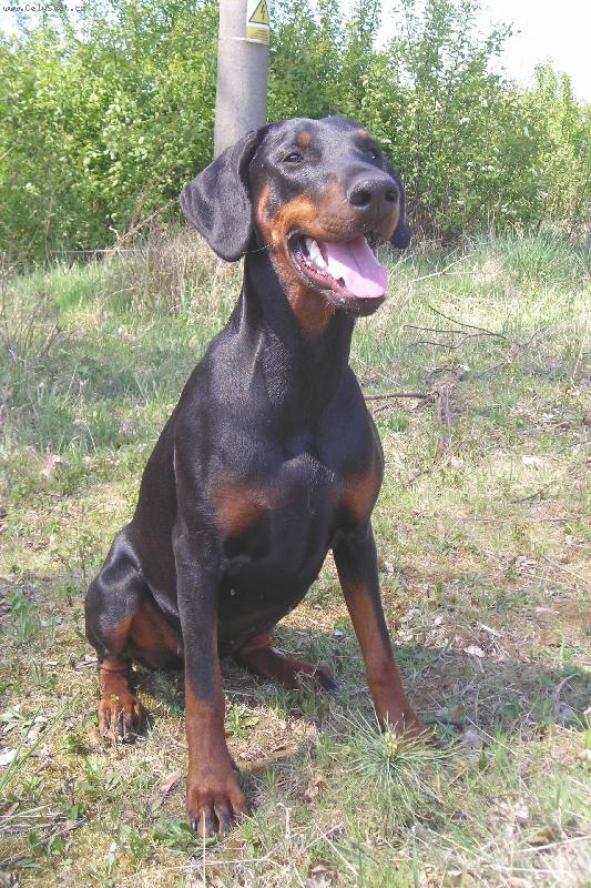 Foto: Akinka - �sm�v pros�m :)-tak takhle vypad� zdarv� chrup :D