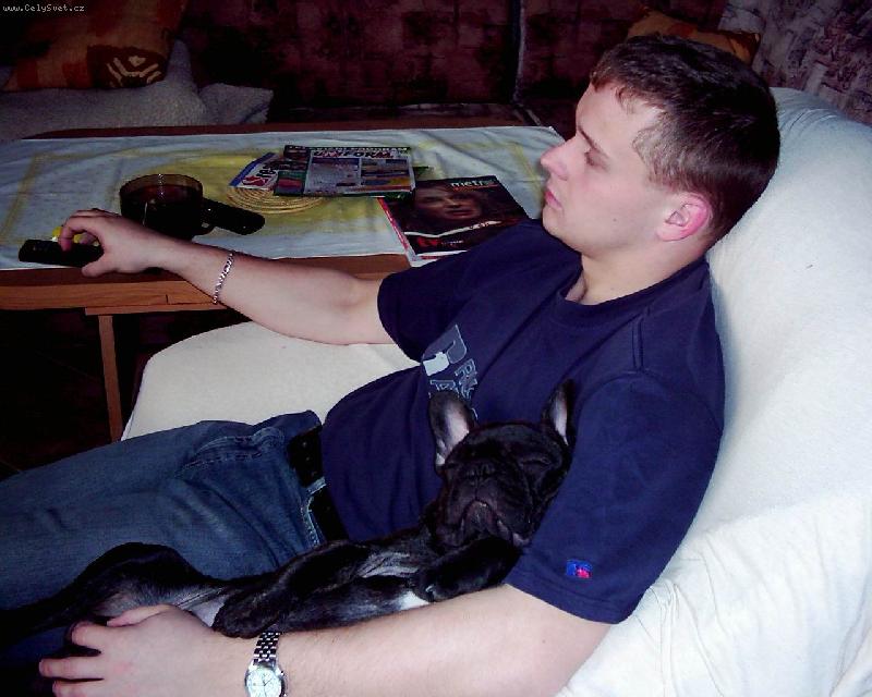 Foto: Bert�k se �amanem-Bert�k sp�,ale reaguje na venkovn� pohyb