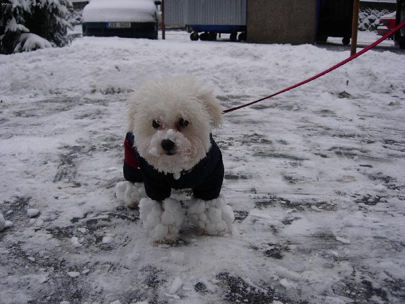 Foto: Sopt�k se sn�hov�mi botkami-Takto vypad�m pot�, co se proh�n�m ve sn�hu.