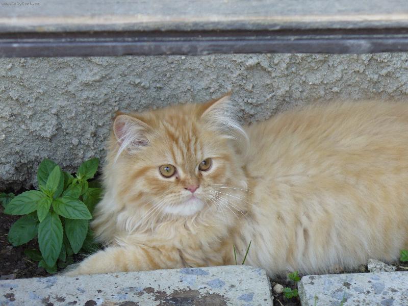 Foto: jsem kr�snej?