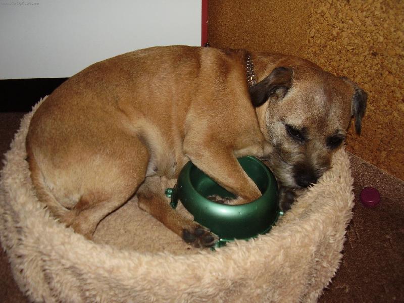 Foto: Kettynka m� hlade�ek..:D-Kettynka po ob�du m� po��d hlade�ek..:D
