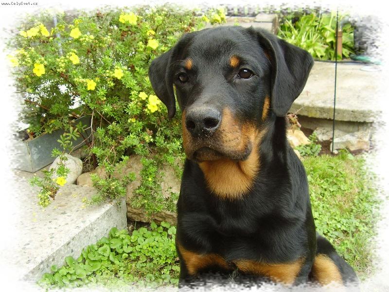 Foto: Dutch-Tak jak dlouho m�m takhle sed�t...