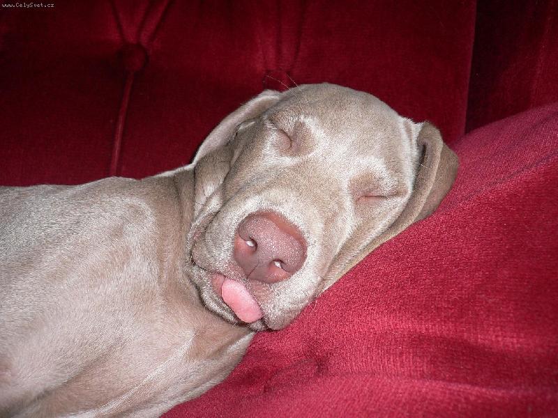 Foto: p�kn� se n�m spink�