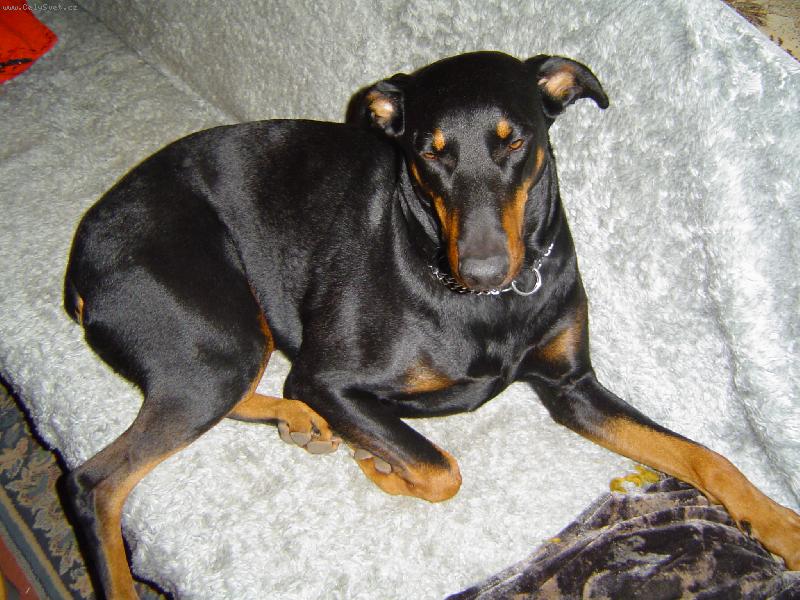 Foto: Kessy na gau�i-obl�ben� poloha