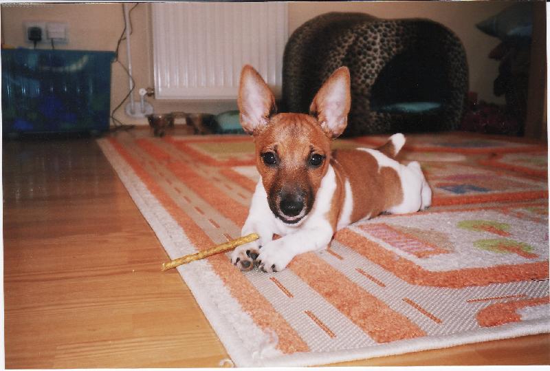 Foto: Amy 5 m�s�c�-mil��ek rodiny