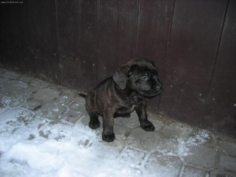 Foto: matylda-matylda