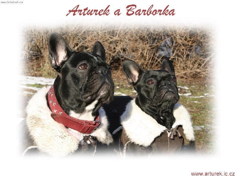 Foto: na�e hv�zdy-foto do svatebn�ho alba, Artu s nev�stou Barborkou. V�ce na www.arturek.ic.cz