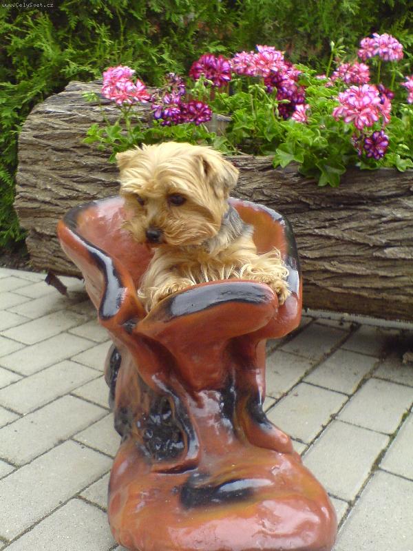 Foto: Besinka-to je ale frajerka :-)