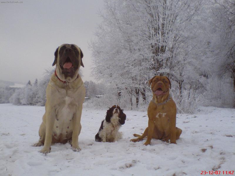 Foto: od prava - VIKTORIE-JENA-F�FA-MIL��KOV�