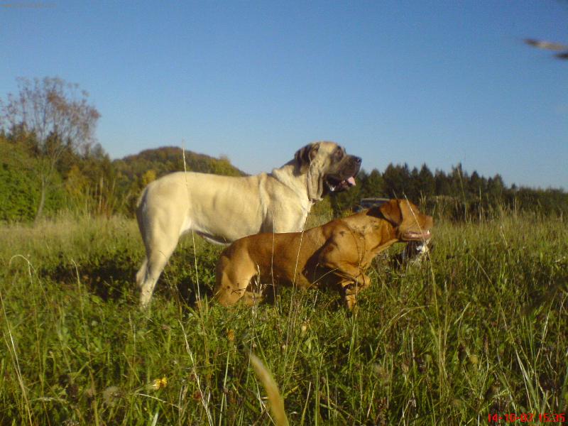 Foto: Tak - START-Na�haven� Viktorie a pohodov� F�fa