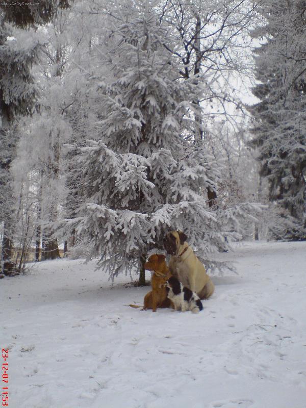 Foto: V Jilemnici v parku-F�fa a Jena   Vik�a