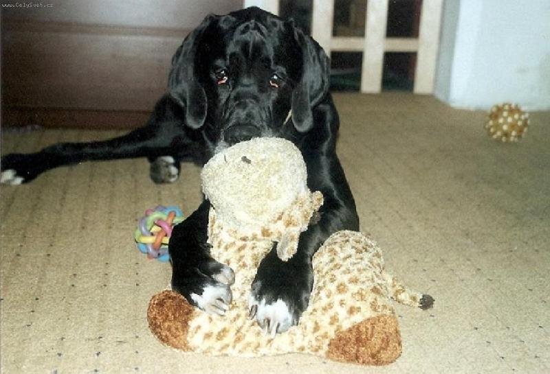 Foto: Arthur - Barneby od �ternbersk�ho hradu