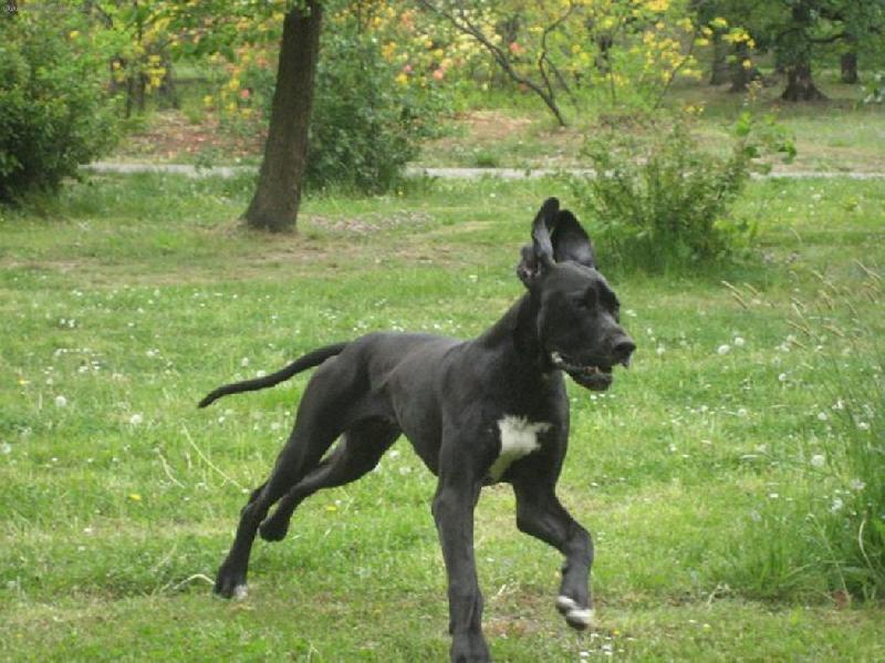 Foto: Arthur - Barneby od �ternbersk�ho hradu