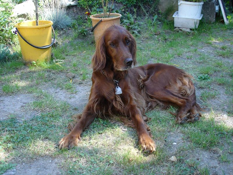 Foto: LADY-fena Lady na n�v�t�v�