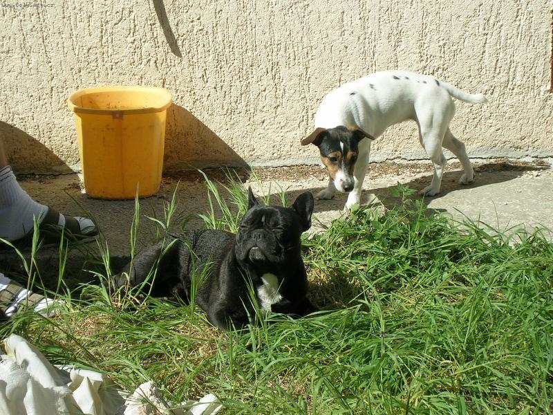 Foto: N� Jazz a k�mo�ka Jackie