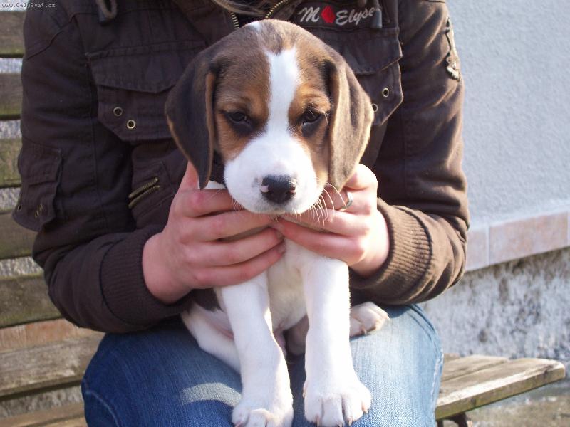 Foto: n� mazl��ek...