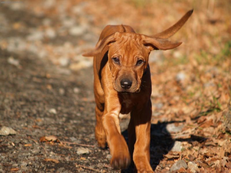 Foto: Rigou�ek s dcerkou-Rigou�ek s dcerkou