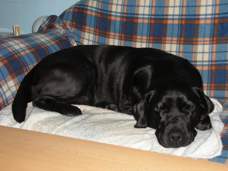 Foto: Spink�m si jen tak po ob�d�.