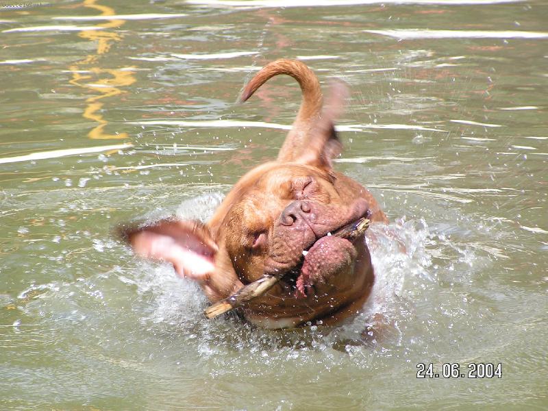 Foto: Mortimor se koupe-Mortimor