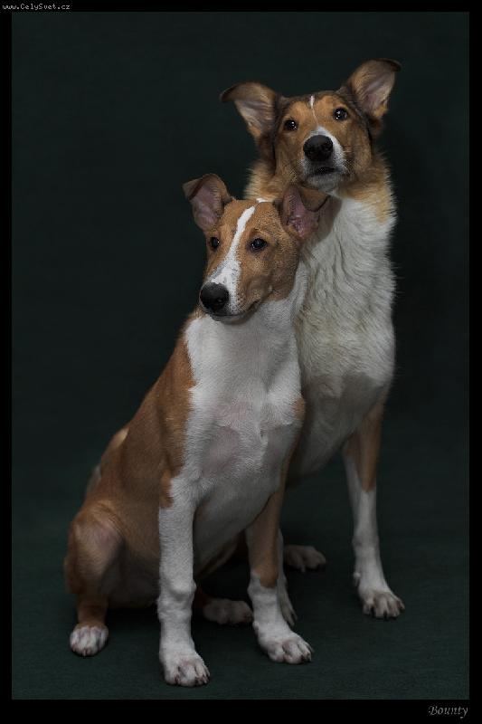 Foto: Bud� z n�s hviezdy?-Amber Rise (vzadu) a Loriseum Abreu - Bry� (vpredu) pri foteni na ob�lku �asopisu