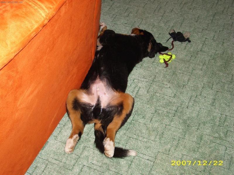 Foto: N� Barny-To hran� by d�v� zabrat