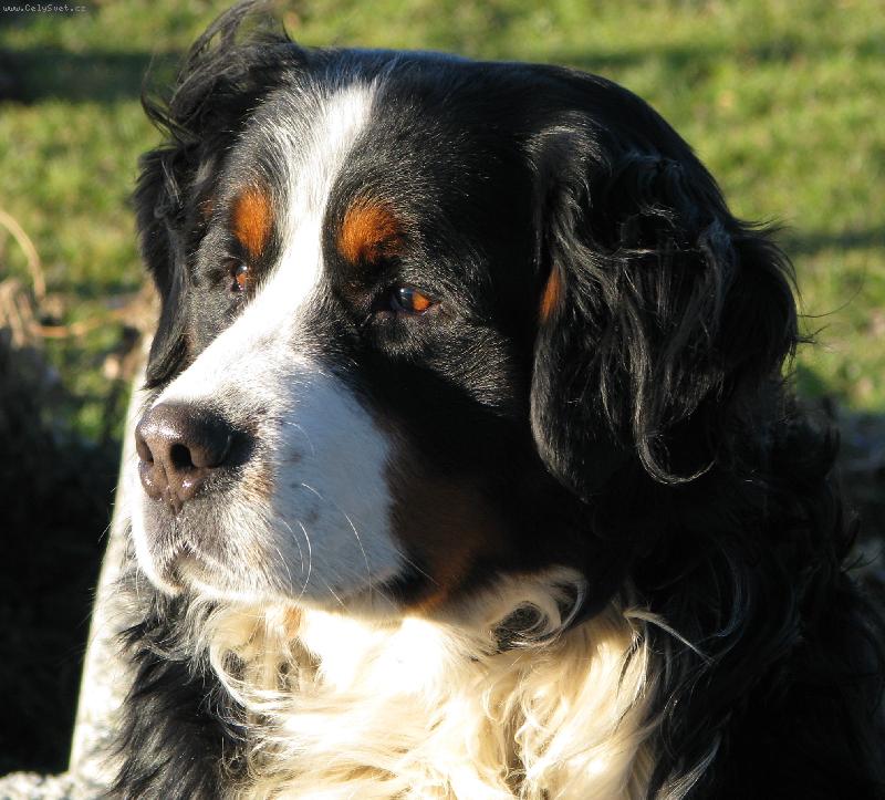 Foto: Jim z Ak�tov� aleje