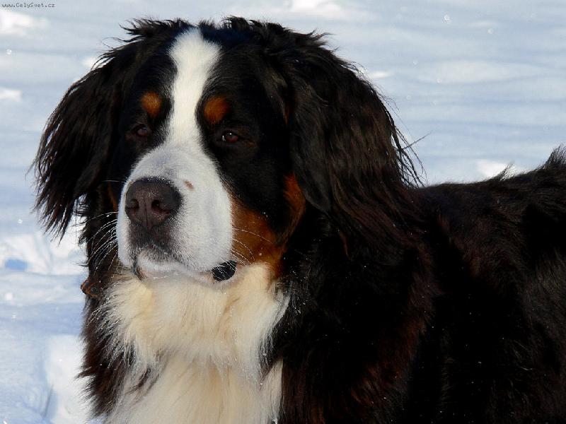 Foto: Corrado vom Pirnikhof