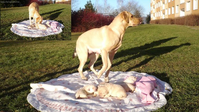 Foto: B�ra a rodinka-Poprv� venku s rodinkou na 5 minut