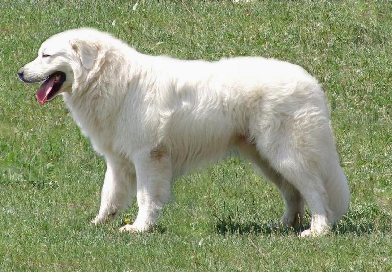 Foto: Fedor Janin ran�-V�stavn� postoj - u� je to dobre?